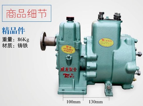 65QZB-50/110N��S������ʽ��ˮ܇��